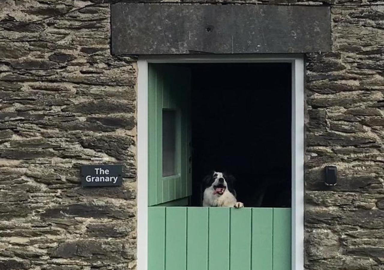 Dog Friendly Cottage, Geufron Farm Near Tywyn Bryn-crug Buitenkant foto