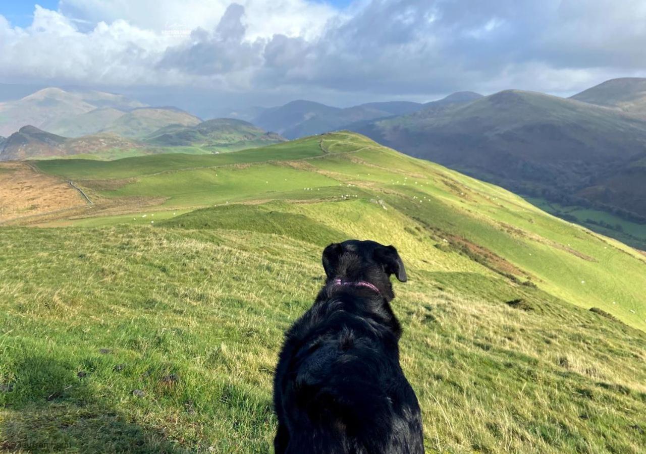 Dog Friendly Cottage, Geufron Farm Near Tywyn Bryn-crug Buitenkant foto