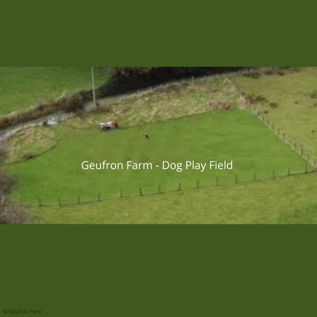 Dog Friendly Cottage, Geufron Farm Near Tywyn Bryn-crug Buitenkant foto
