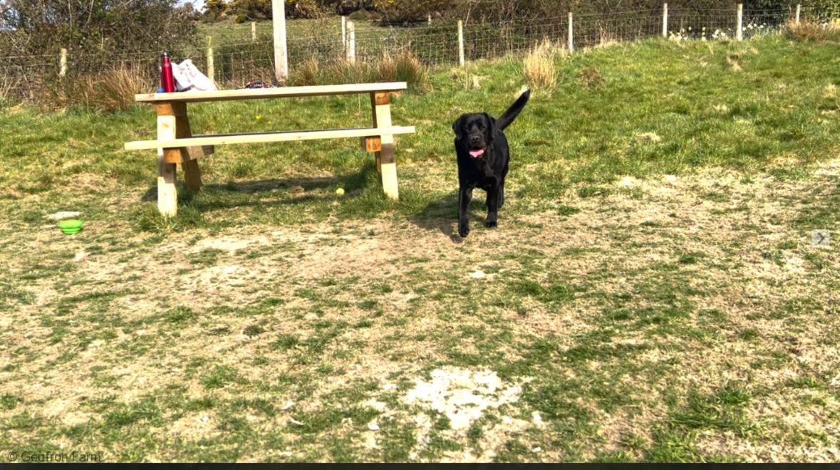 Dog Friendly Cottage, Geufron Farm Near Tywyn Bryn-crug Buitenkant foto